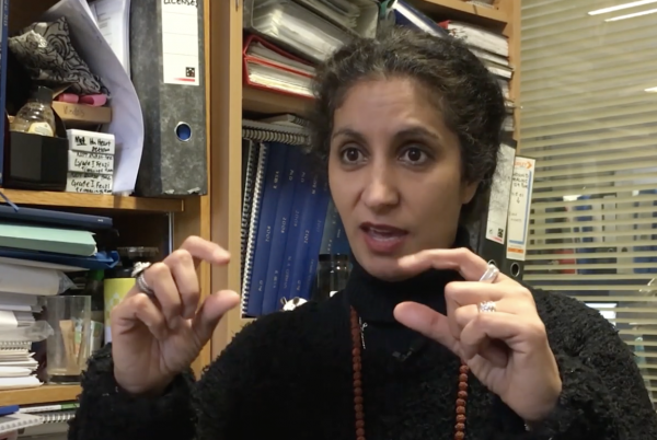 Professor Kairbaan Hodivala-Dilke