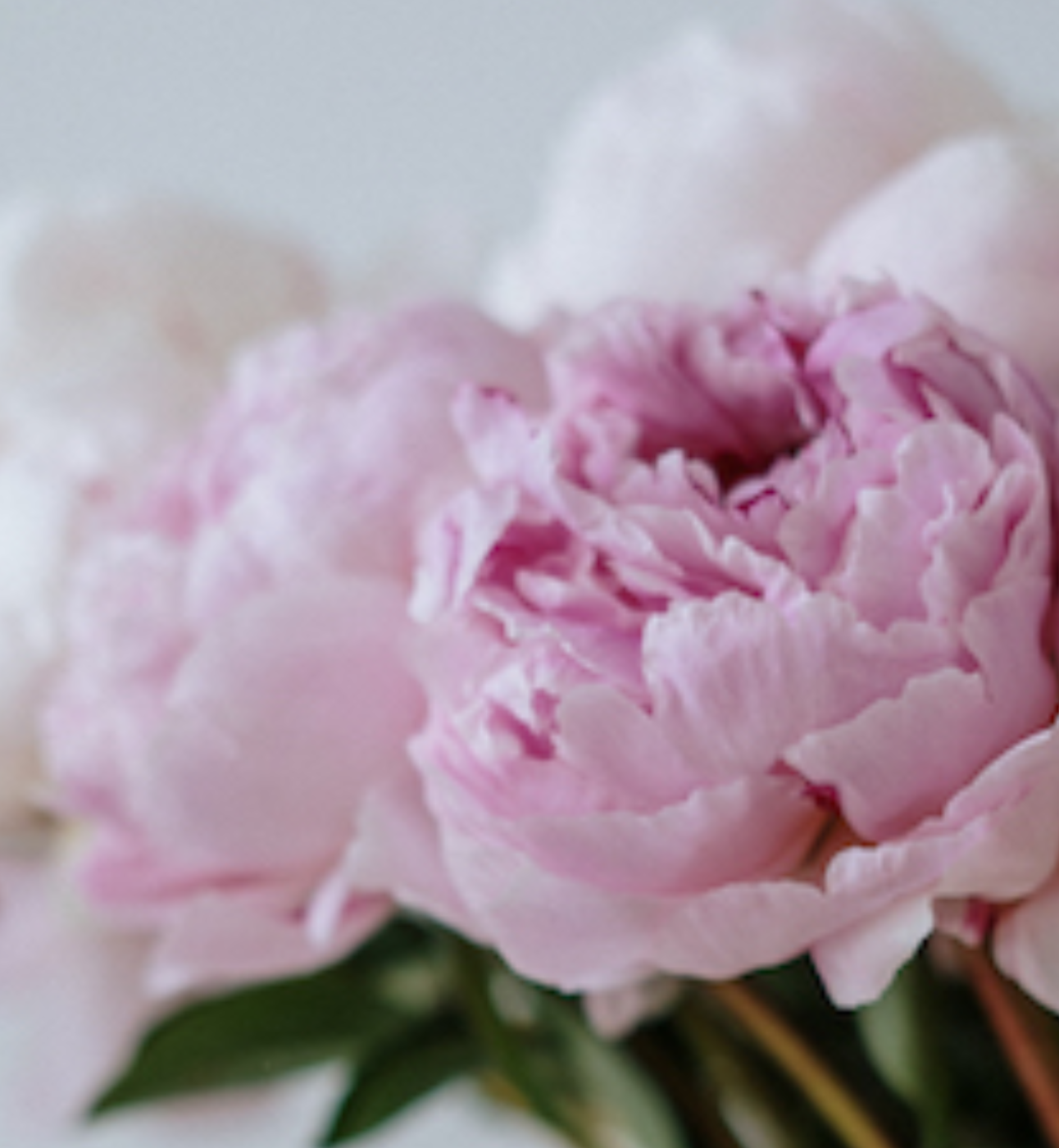 much loved flowers giving in memory