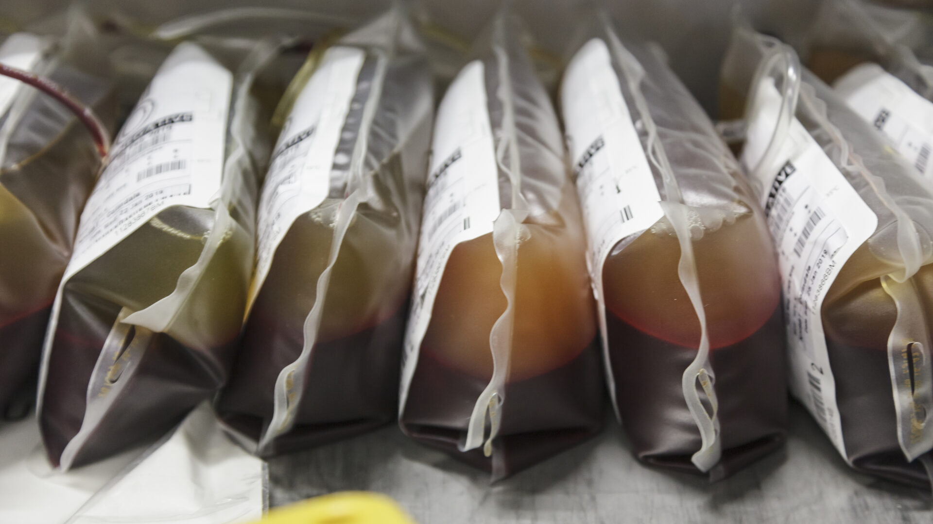 Some of the blood packs used across Barts Health NHS Trust.